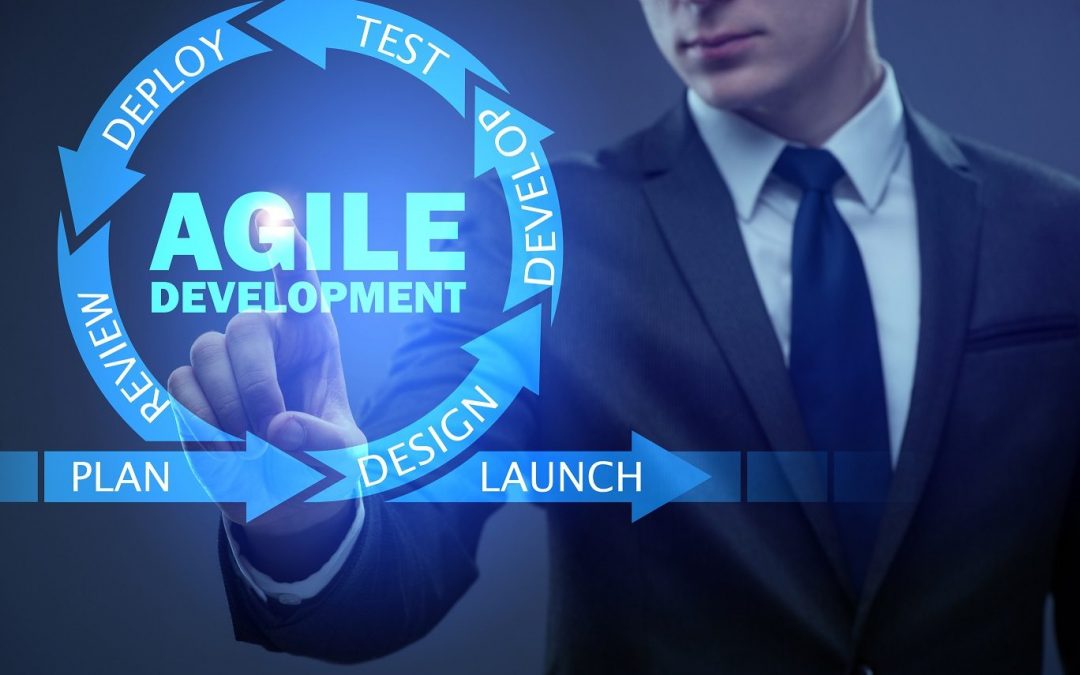 The Agile Product Owner: How does a product owner bring value to the software development process?