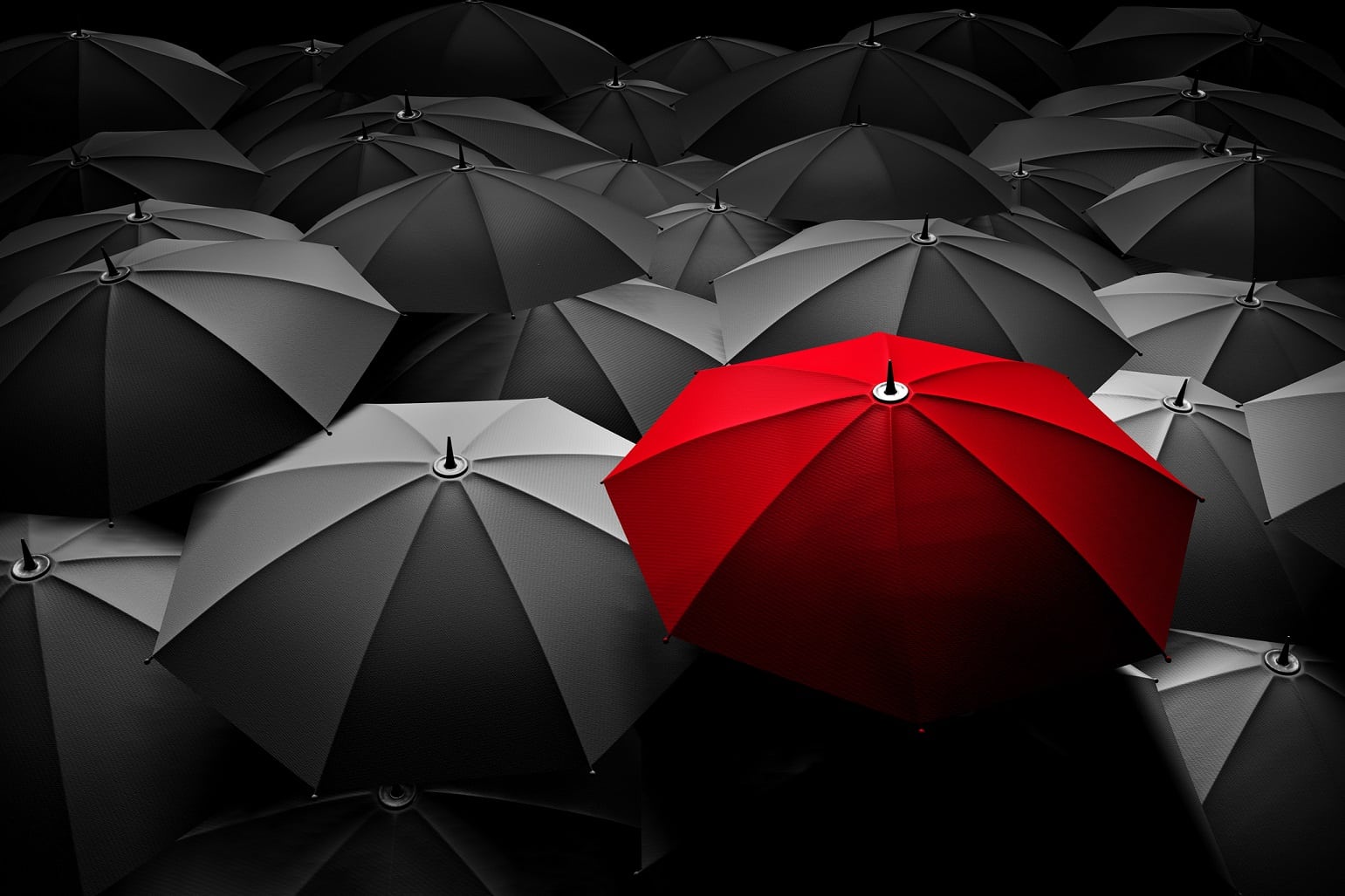 red umbrella in a sea of black umbrellas