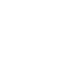 market ecommerce icon